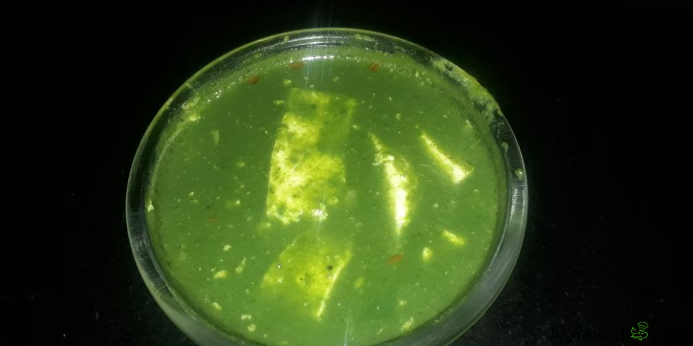 Palak Paneer